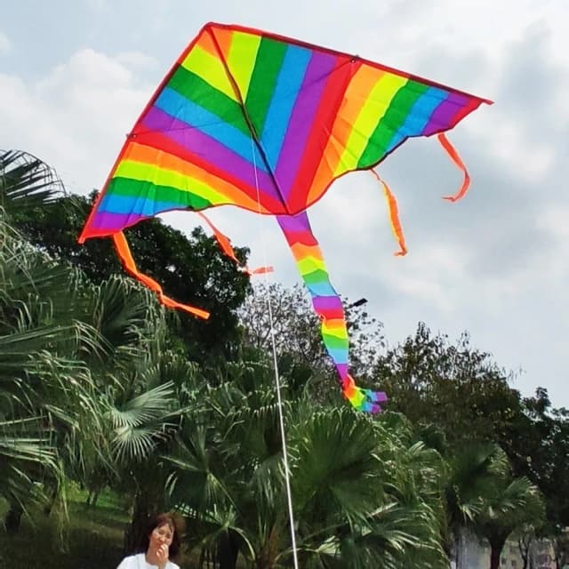 Nieuw ontwerp Regenboogvlieger Mode Gemakkelijk vliegen Lange staart met lijn Vliegend speelgoed voor kinderen Kinderen Outdoor Fun Sports